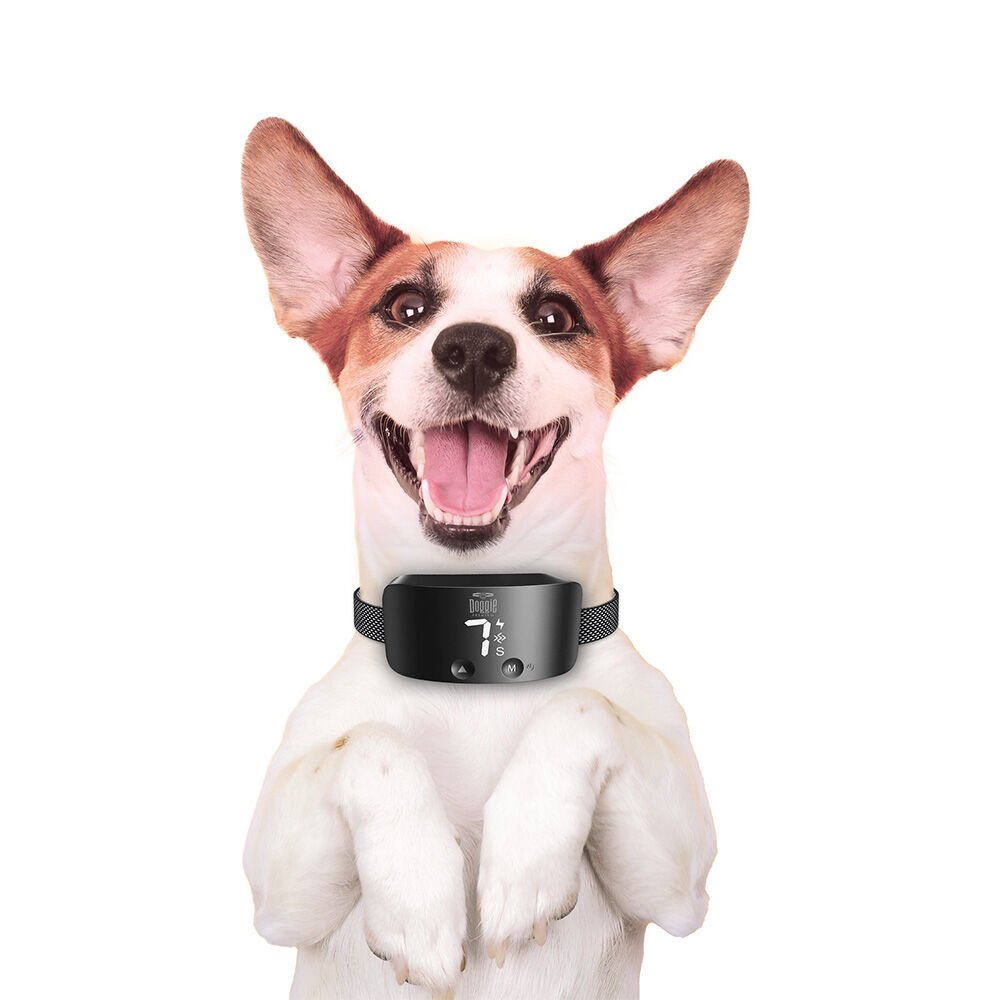 Doggie Havlama Önleyici Eğitim Tasması Ayarlanabilir Siyah - BARKTRAINBLACK