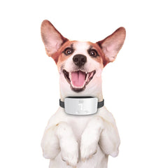 Doggie Havlama Önleyici Eğitim Tasması Ayarlanabilir Beyaz - BARKTRAINWHITE