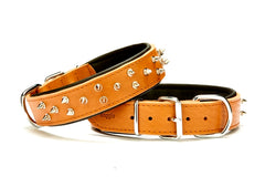 Doggie Ektsra Çivili Deri Köpek Boyun Tasması 4x57-65 cm Kamel - BYT-4012L-KML