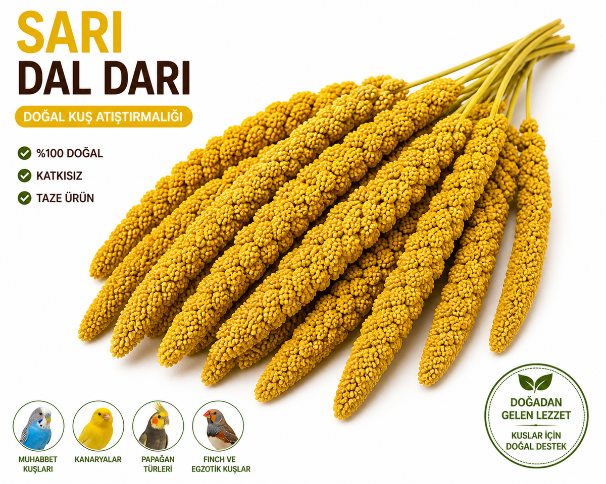 Kuşlar İçin Doğal Sarı Dal Darı 100 gr - 60671-2