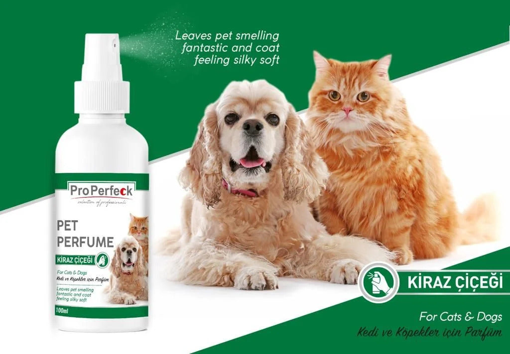 Pro Perfeck Kedi Ve Köpek Kiraz Çiçeği Parfüm 100 ml - GND-PRFM-CRRYBLSSM