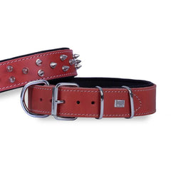 Doggie Ektsra Çivili Köpek Boyun Tasması 4x52-60 cm Kırmızı - BYT-4012M-KRMZ