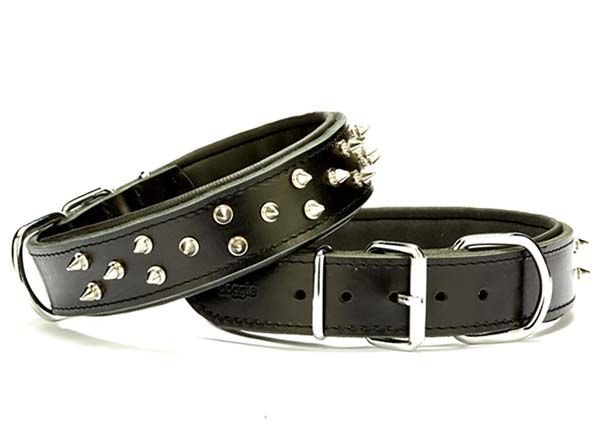 Doggie Ektsra Çivili Köpek Boyun Tasması 4x52-60 cm Siyah - BYT-4012M-SYH