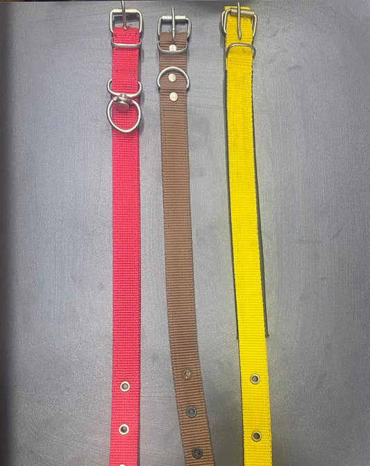 Köpek Tasma (50 cm)