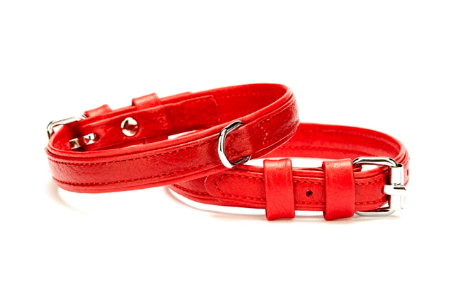 Doggie Flotter Çift Kat Deri Köpek Boyun Tasması 1,5x15-20 cm Kırmızı - FBT-1510XS-KRMZ