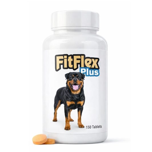 FİTFLEX EKLEM DESTEKLEYİCİ