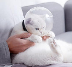 Markapet Kedi Isırma ve Tırmalama Engelleyici Kedi Bakım Küresi 8x14 cm - 11427