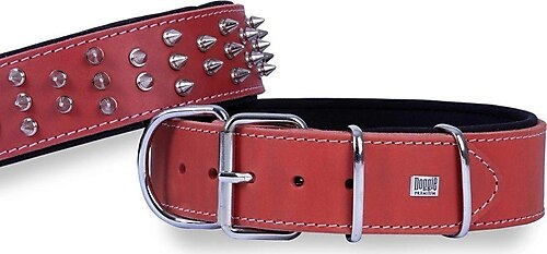 Doggie Ektsra Çivili Köpek Boyun Tasması 5x50-60 cm Kırmızı - BYT-5012S-KRMZ