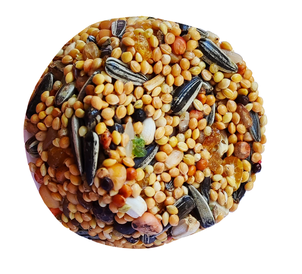 Markapet Pareket Papağan Ballı Meyveli Mineral Blok 100 gr - BNY-0271