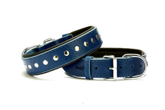 Doggie Deri Rivetli Köpek Tasması 3,5x52-60 cm Mavi - SBT-3511ML-MV