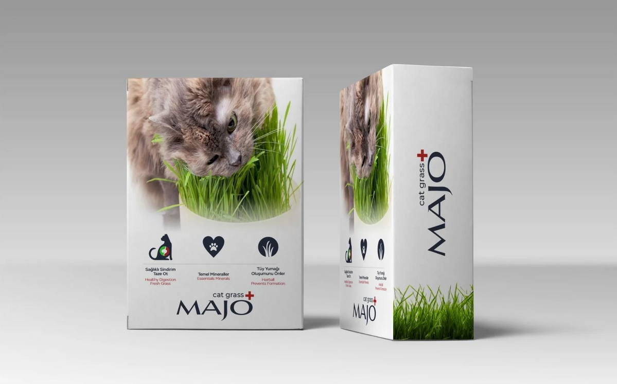 Naturel Kedi Çimi - ERP-MJ7790