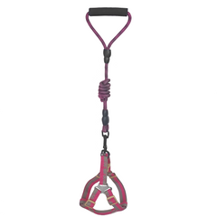 Köpek Göğüs Tasma Seti Dalga Desenli 2 cm*40-58 cm Mor-Pembe - SF-DKMSET-DLGMRPMB