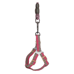 Köpek Göğüs Tasma Seti Dalga Desenli 2 cm*40-58 cm Mor-Pembe - SF-DKMSET-DLGMRPMB
