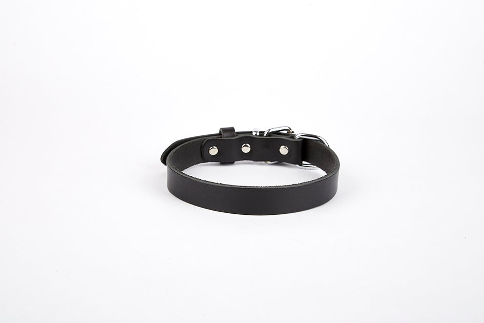 Doggie Deri El Yapımı Köpek Boyun Tasması 1,5x20-26 cm Siyah - TBT1510S-SYH